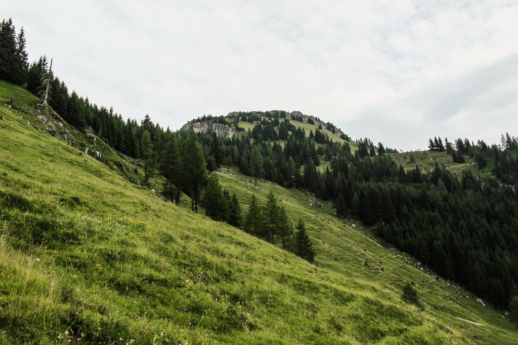 06 wir steigen auf zum Saukarkopf.jpg
